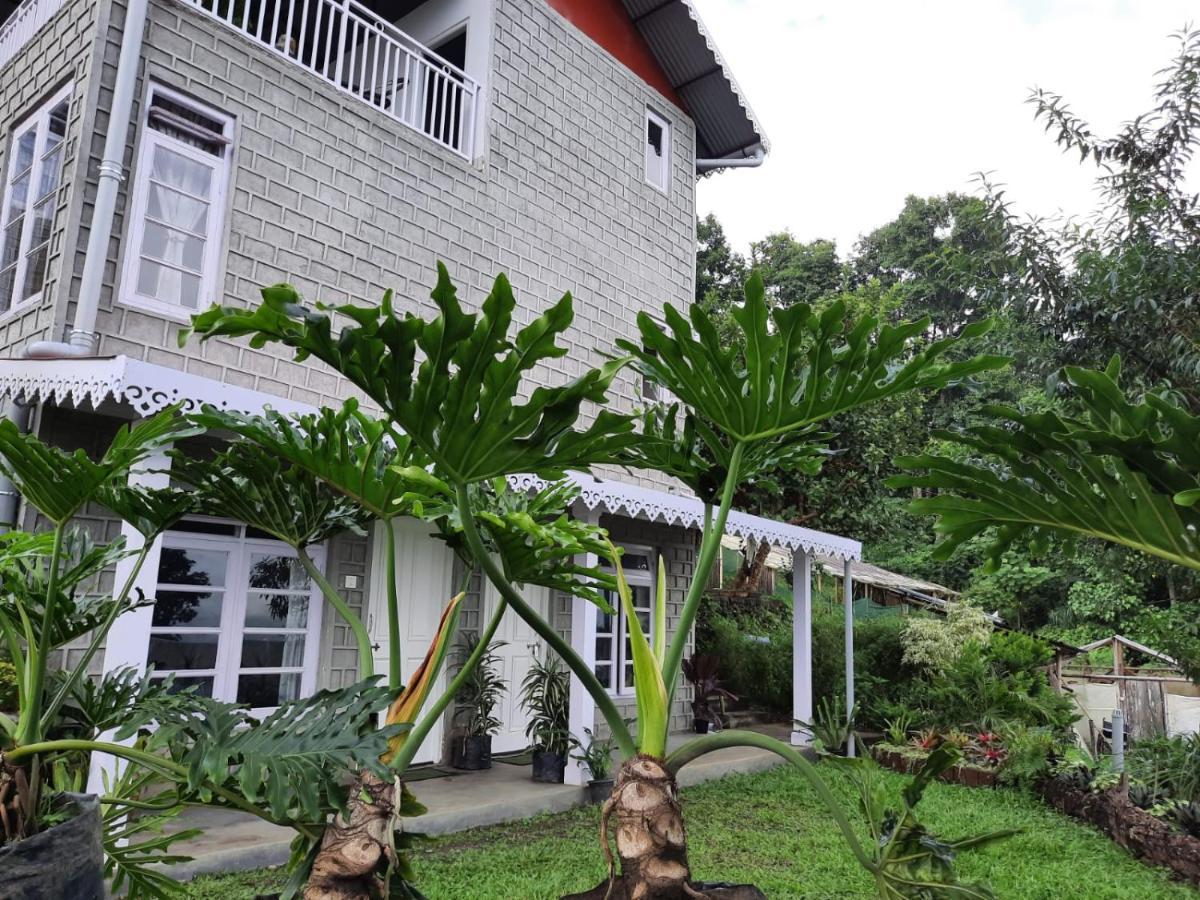 Aaravi Garden Homestay كاليمبونج المظهر الخارجي الصورة